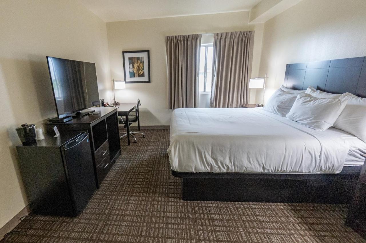 Cobblestone Hotel & Suites-Sheldon エクステリア 写真